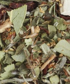 Te La Via del Tè Te In Sacchetto | Tisana Ginger Menta - La Via Del Te