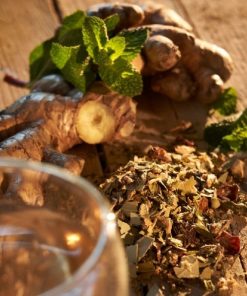 Te La Via del Tè Te In Sacchetto | Tisana Ginger Menta - La Via Del Te